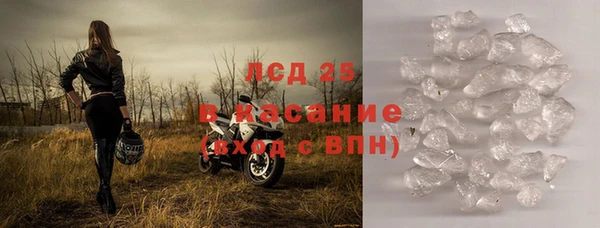 стаф Алзамай