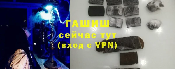 стаф Алзамай