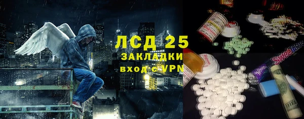 прущие грибы Алексин