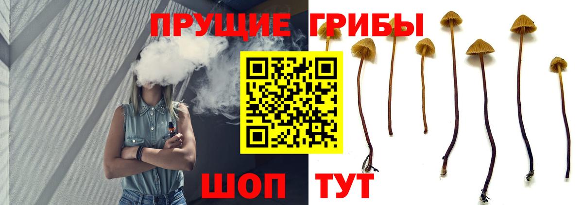 Шарыпово  Псилоцибиновые грибы ЛСД  Вход с VPN  Псилоцибиновые грибы ЛСД 